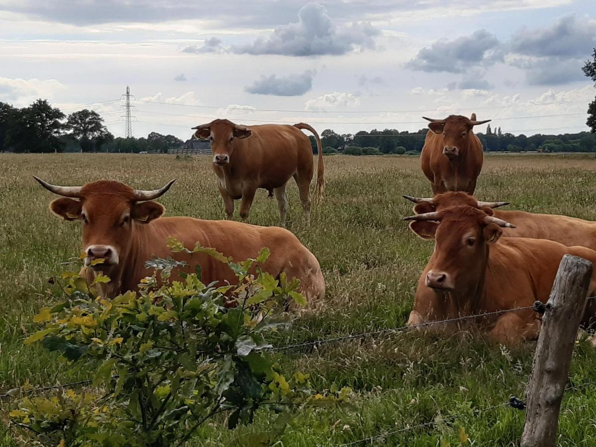 Landelijk Gelegen Huisje Op Erf Veeningen Exterior foto