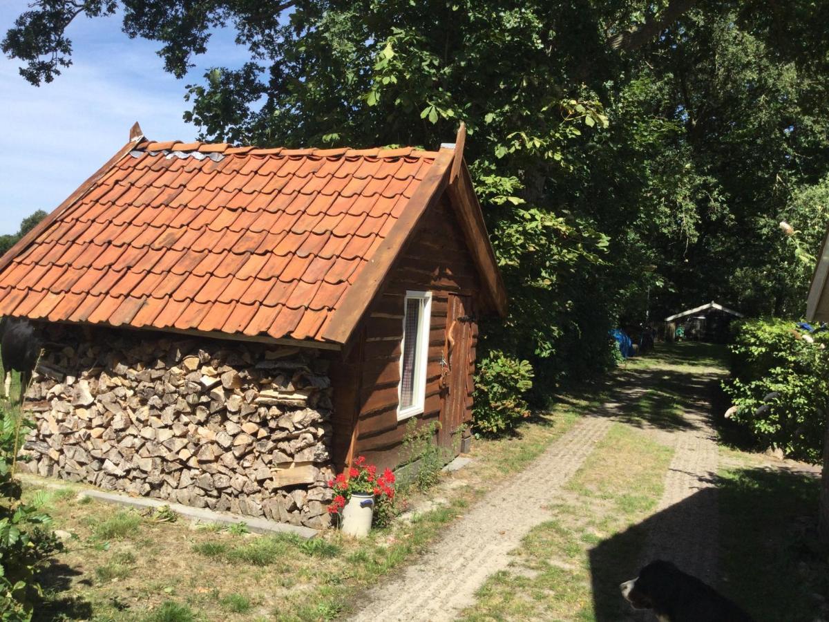 Landelijk Gelegen Huisje Op Erf Veeningen Exterior foto
